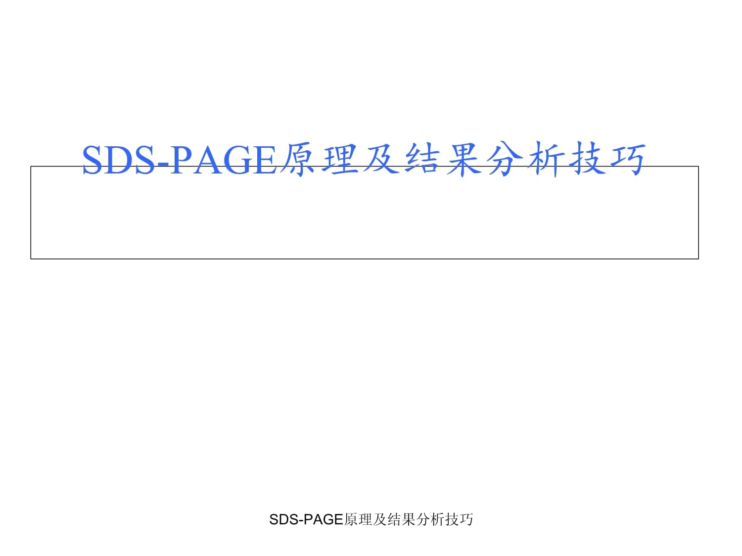 SDS-PAGE原理及結(jié)果分析技巧_第1頁