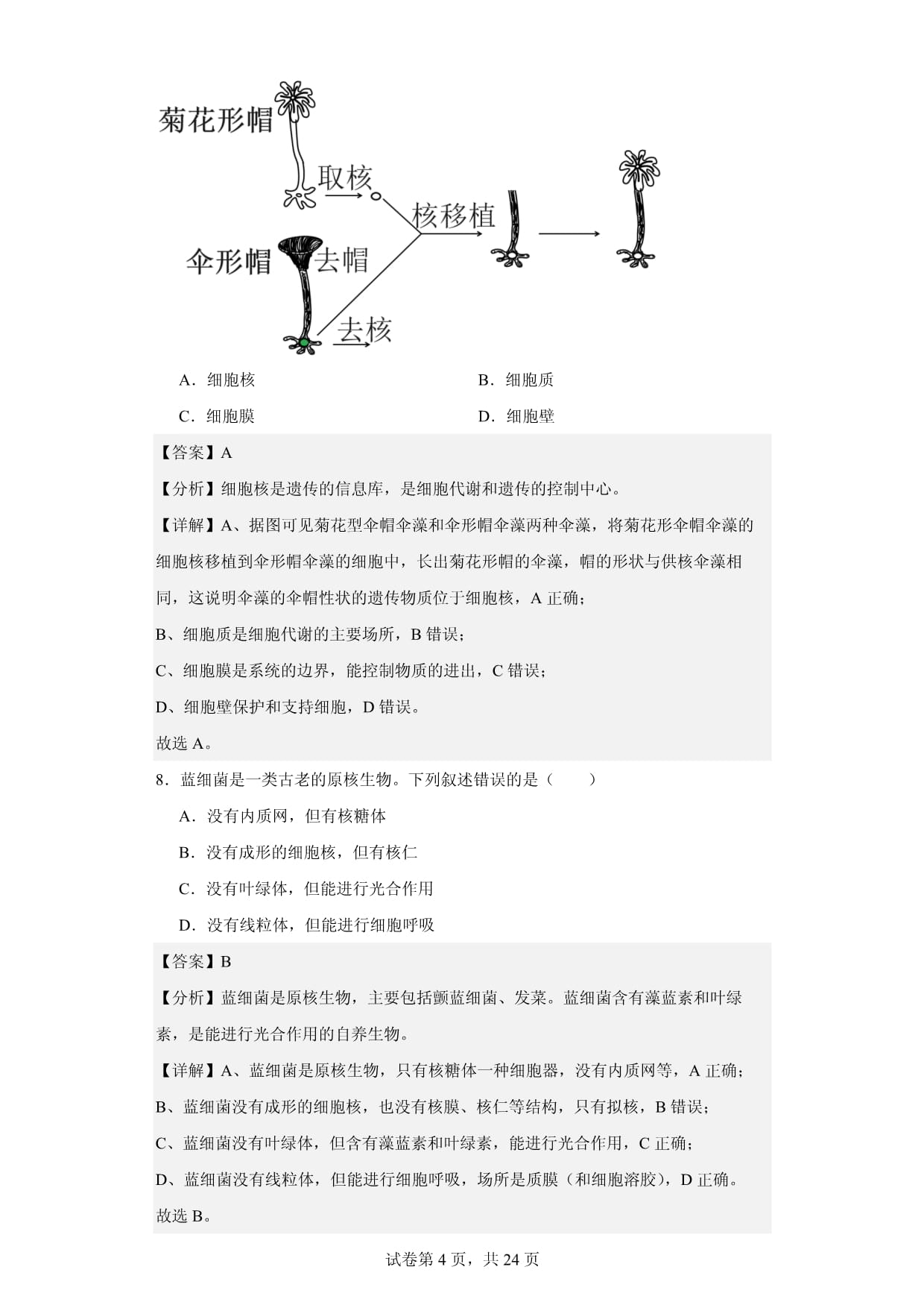 2023-2024学年浙江省嘉兴市当湖高级中学高一10月阶段性测试生物试题（解析kok电子竞技）_第4页