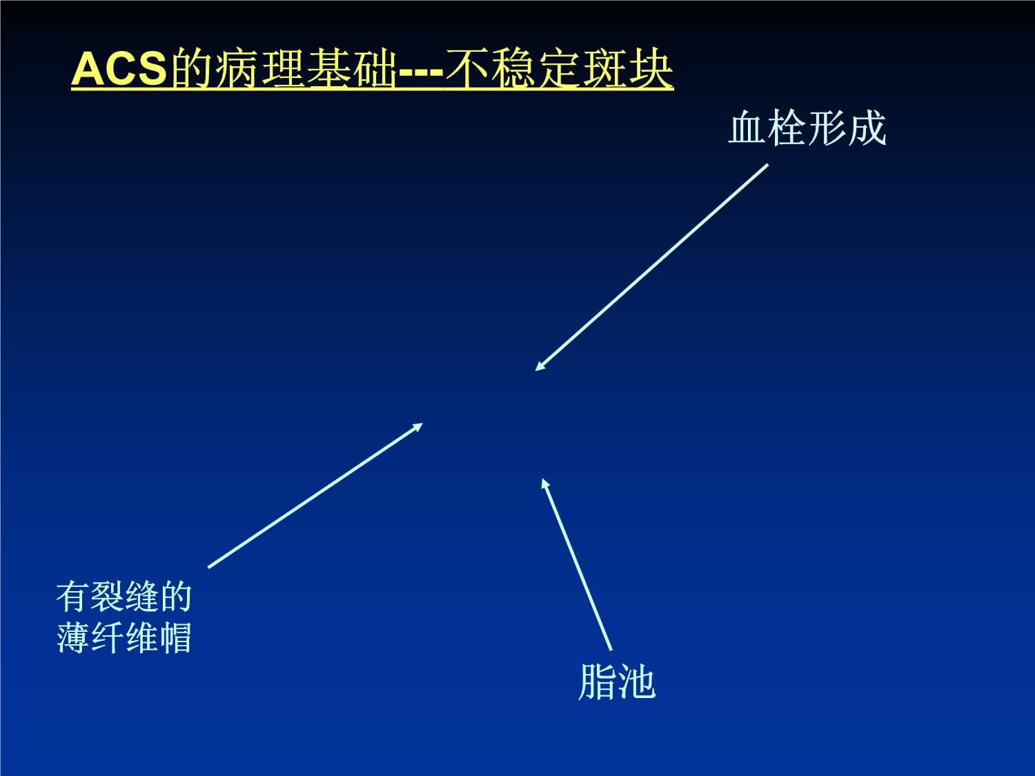 ACS急诊指南与实践201305课件_第5页