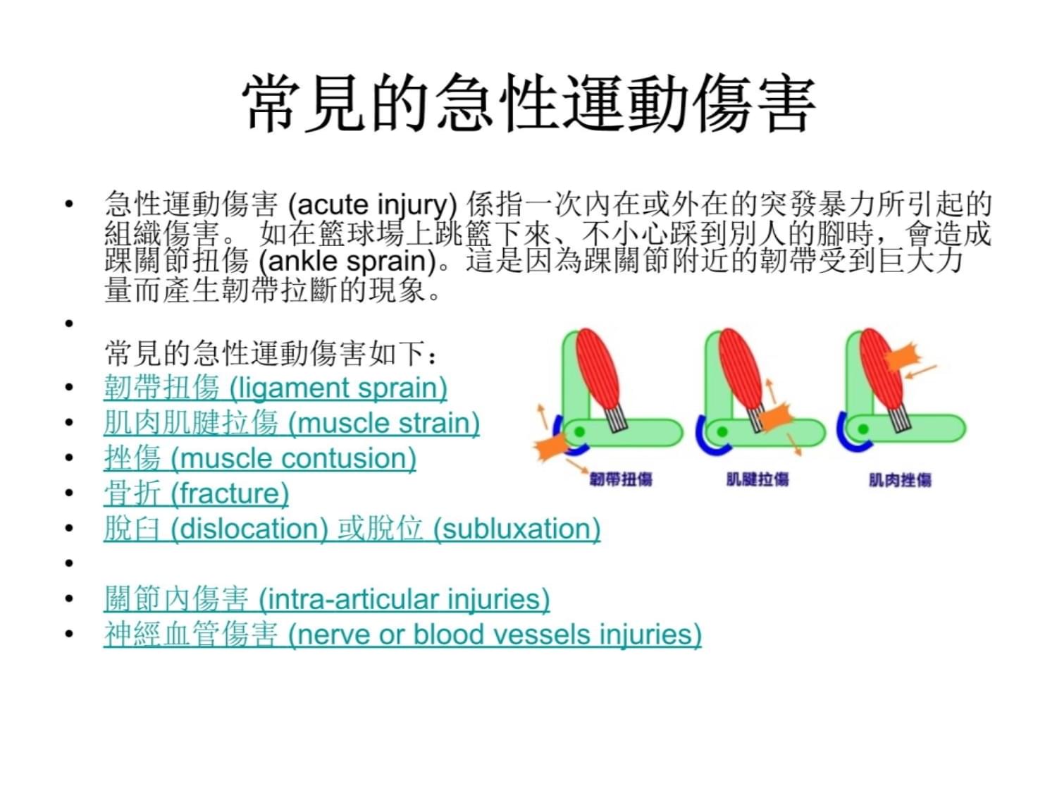 动伤害概论课件_第5页