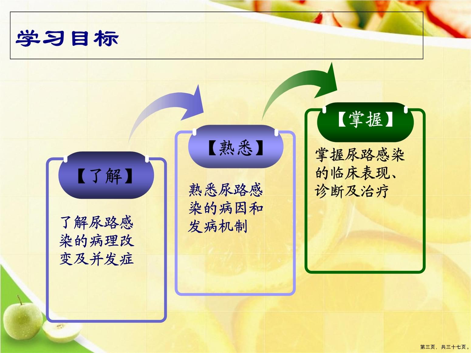 尿路感染肾盂肾炎膀胱炎尿道炎演示文稿_第3页