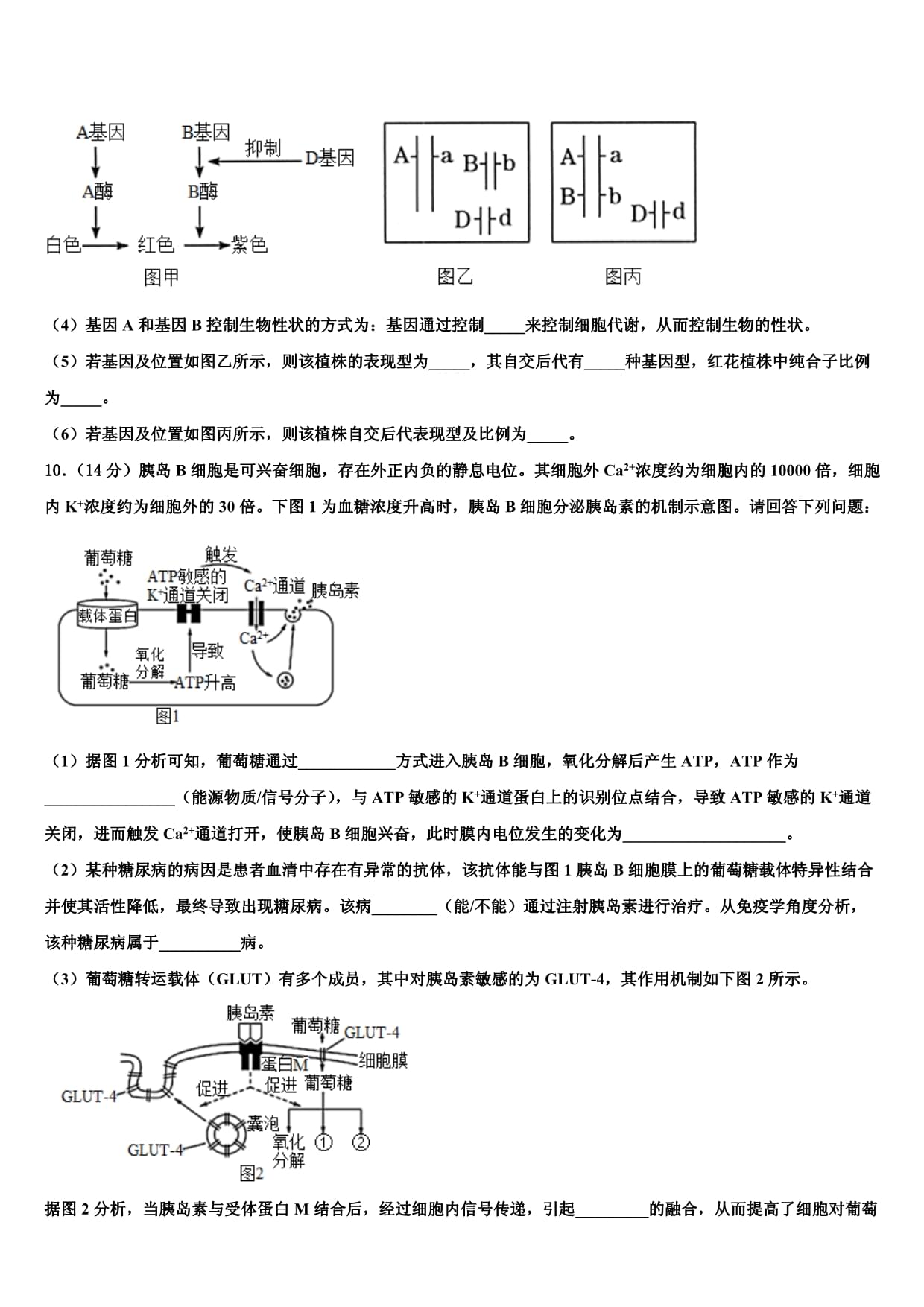 上海市八校2023年生物高二第一学期期末教学质量检测试题含解析_第4页