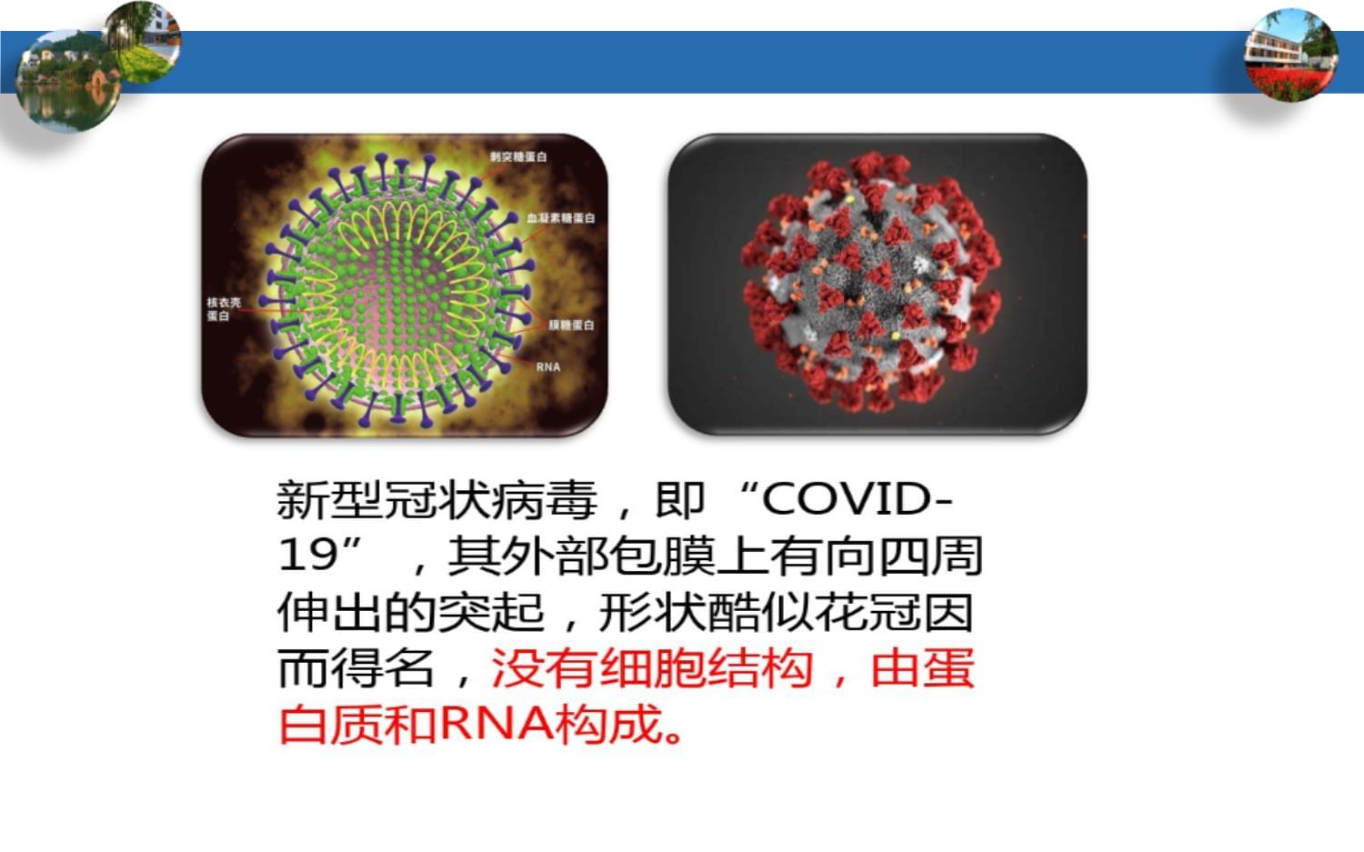 非特异性防卫和特异性免疫_第2页