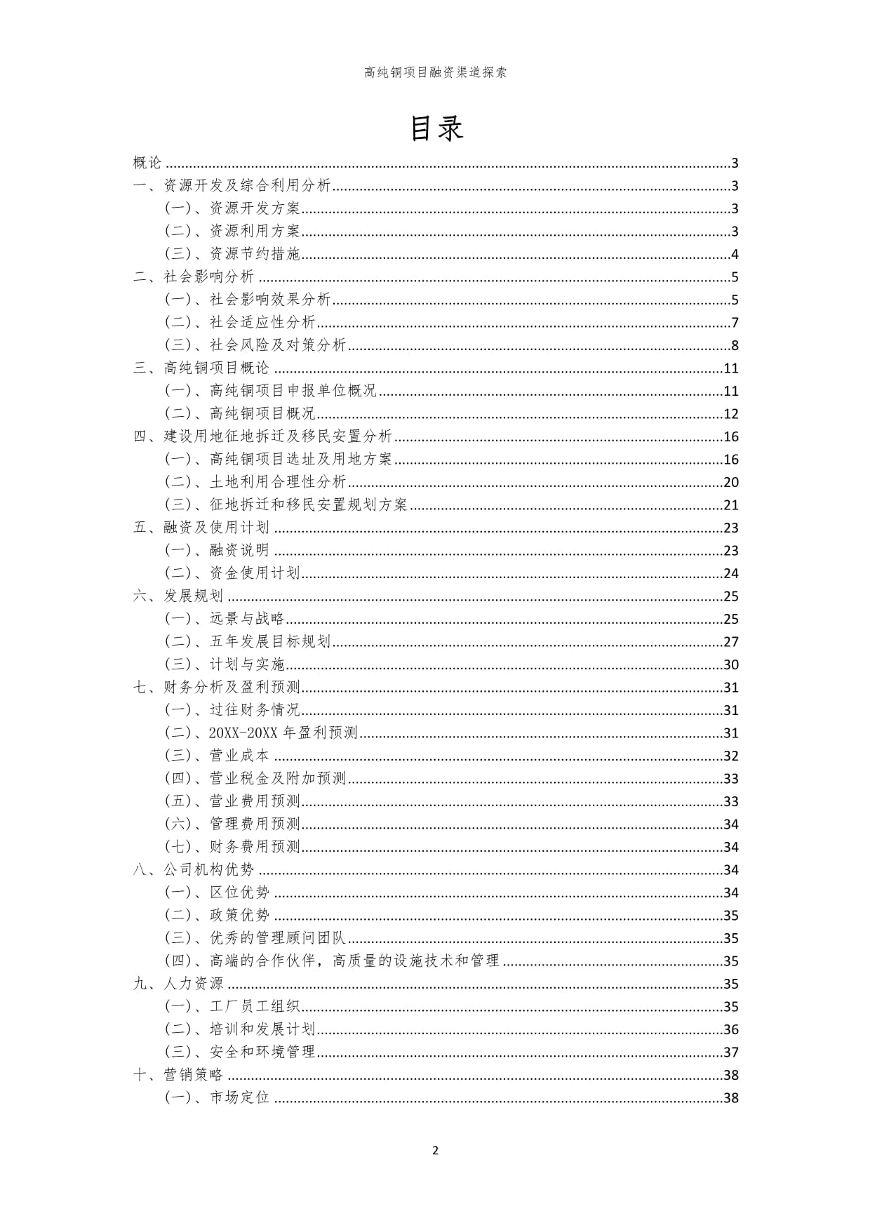 高纯铜项目融资渠道探索_第2页