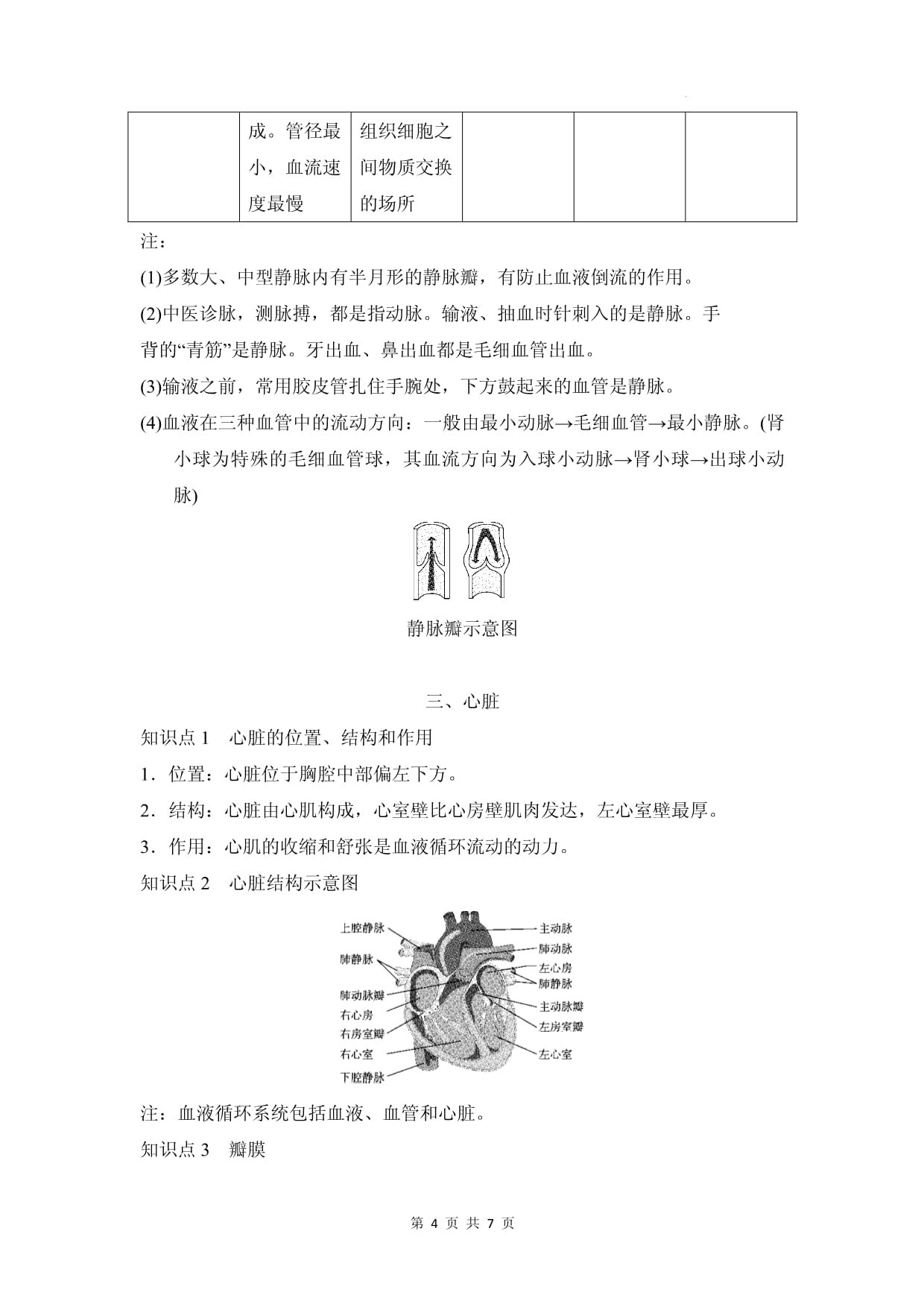 冀少kok电子竞技（2024新kok电子竞技）七kok电子竞技下册生物第二章 循环系统与物质运输 知识点_第4页