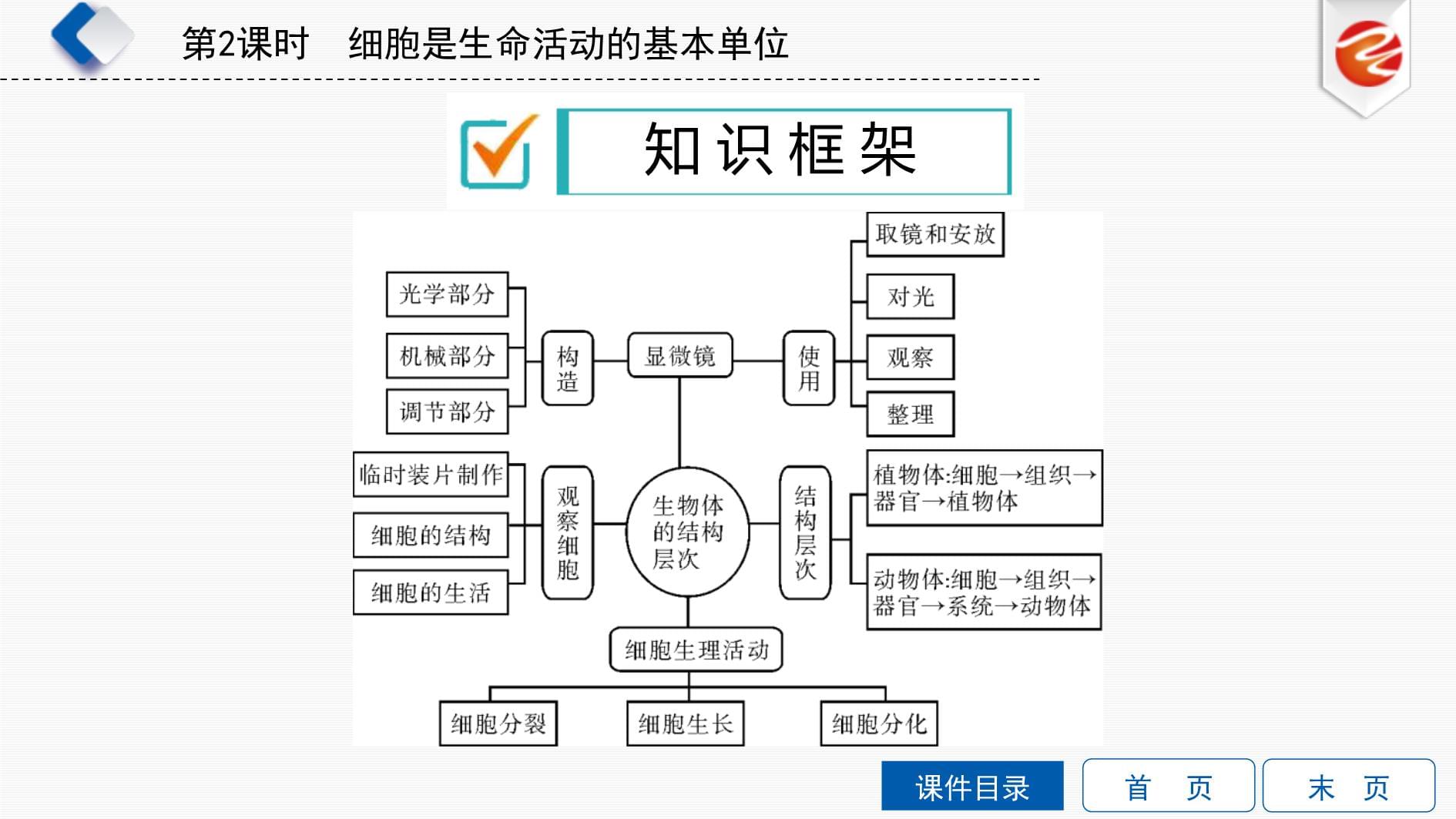 中考生物一轮复习培优课件第2单元　细胞是生命活动的基本单位 (含答案)_第2页