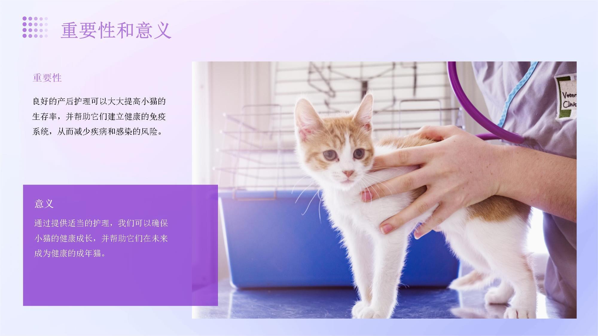 小猫的产后的护理_第5页