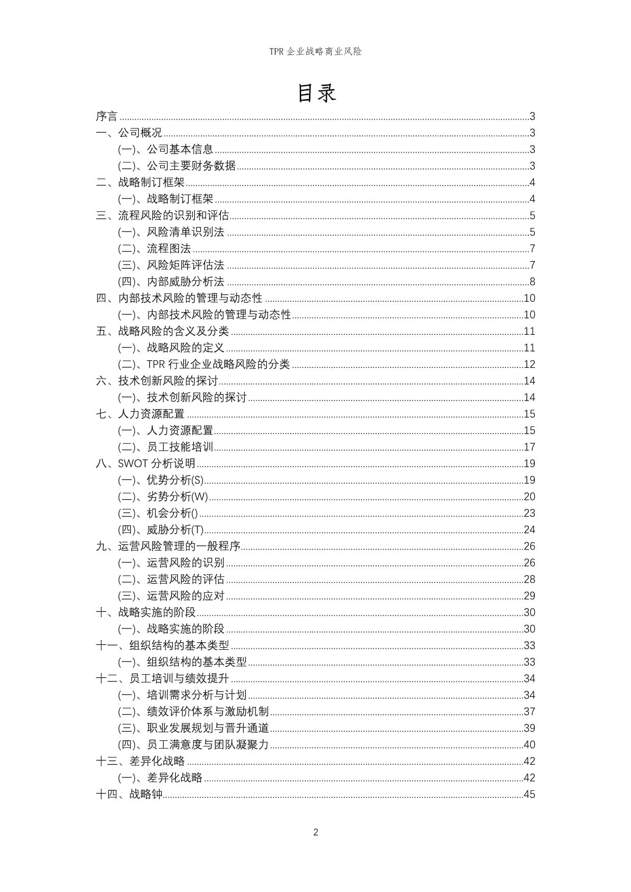 2023年TPR企业战略商业风险_第2页