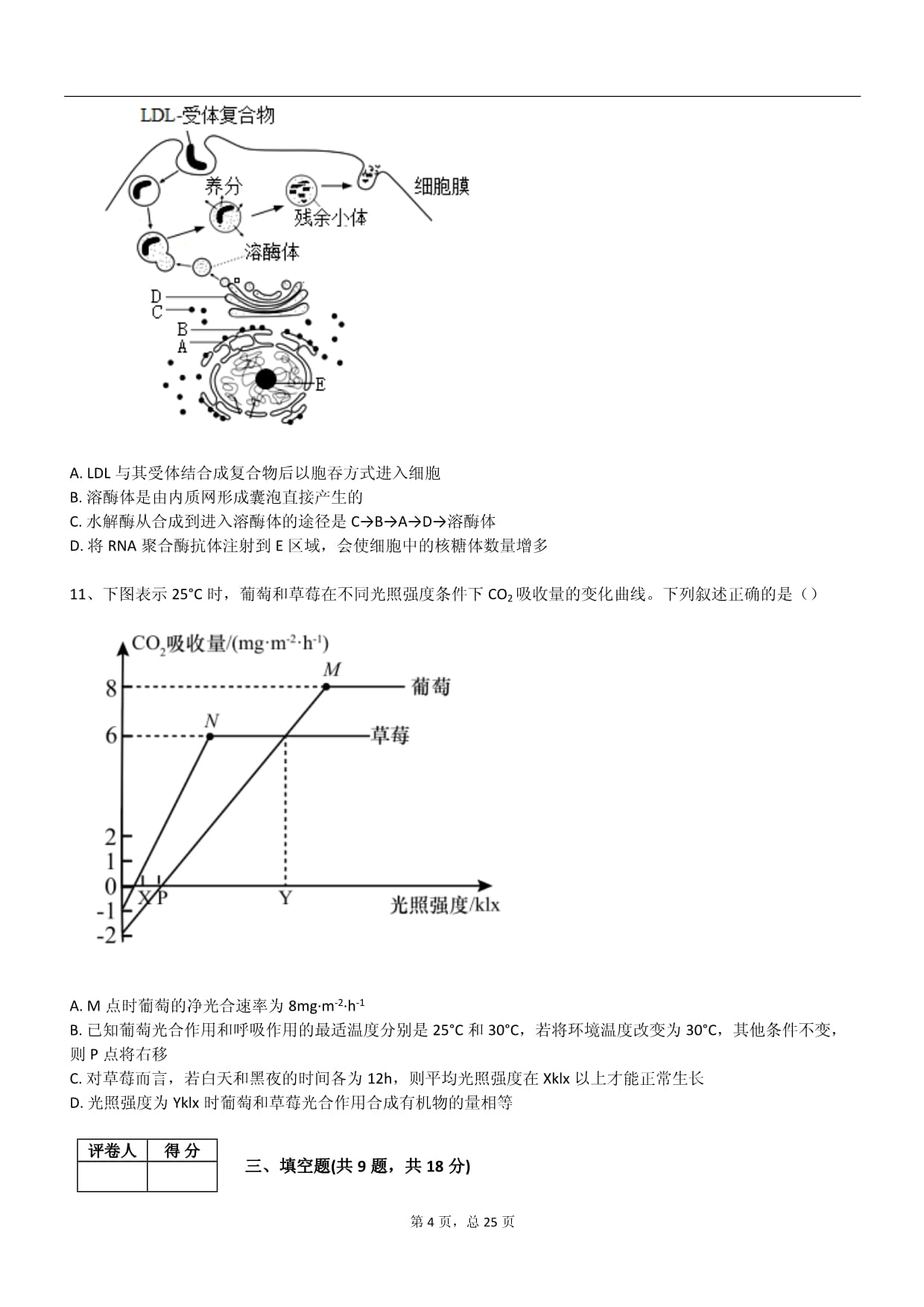 2025年苏教kok电子竞技必修一生物下册阶段测试试卷_第4页