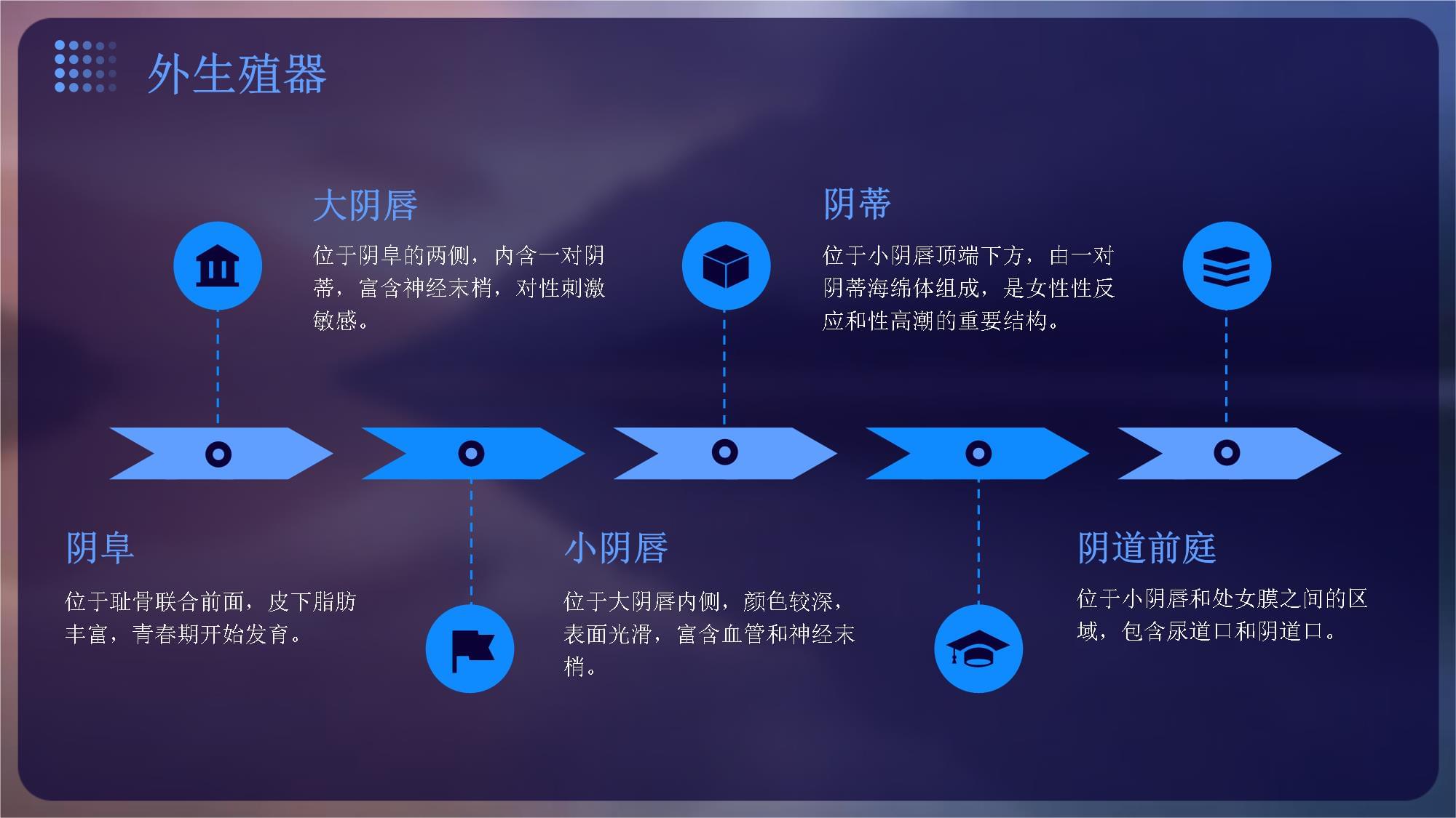 了解自己的生殖器官女性解剖和疾病风险_第4页