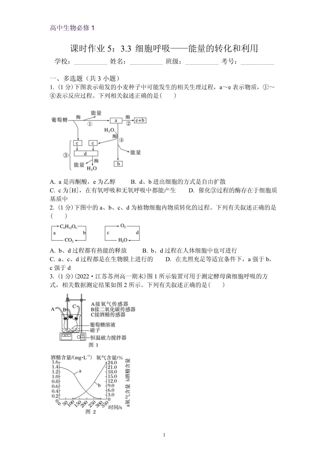 3.3 細胞呼吸-能量的轉(zhuǎn)化和利用同步練習(xí) 高一上學(xué)期生物蘇教版（2019）必修第一冊_第1頁