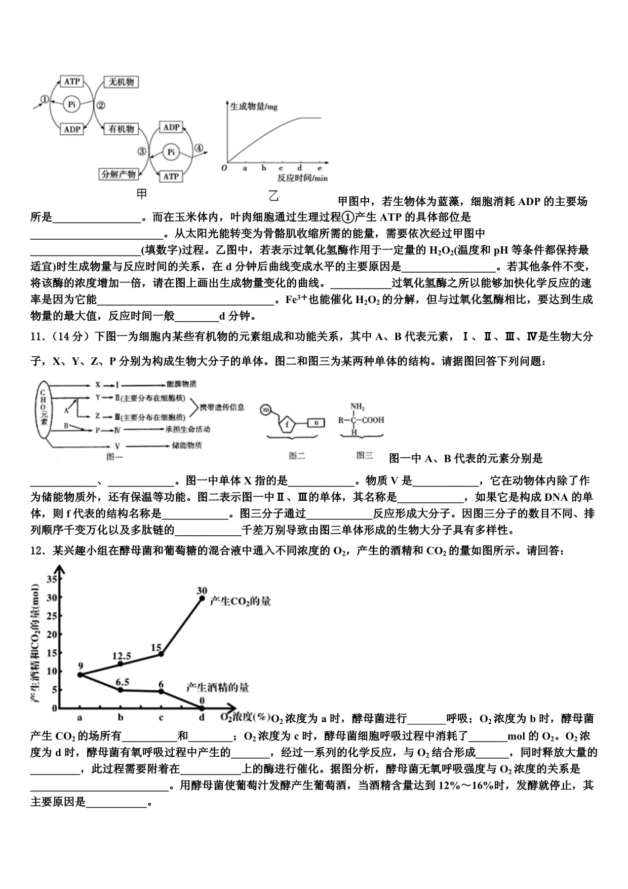 2025届河北张家口市生物高一上期末质量检测模拟试题含解析_第3页