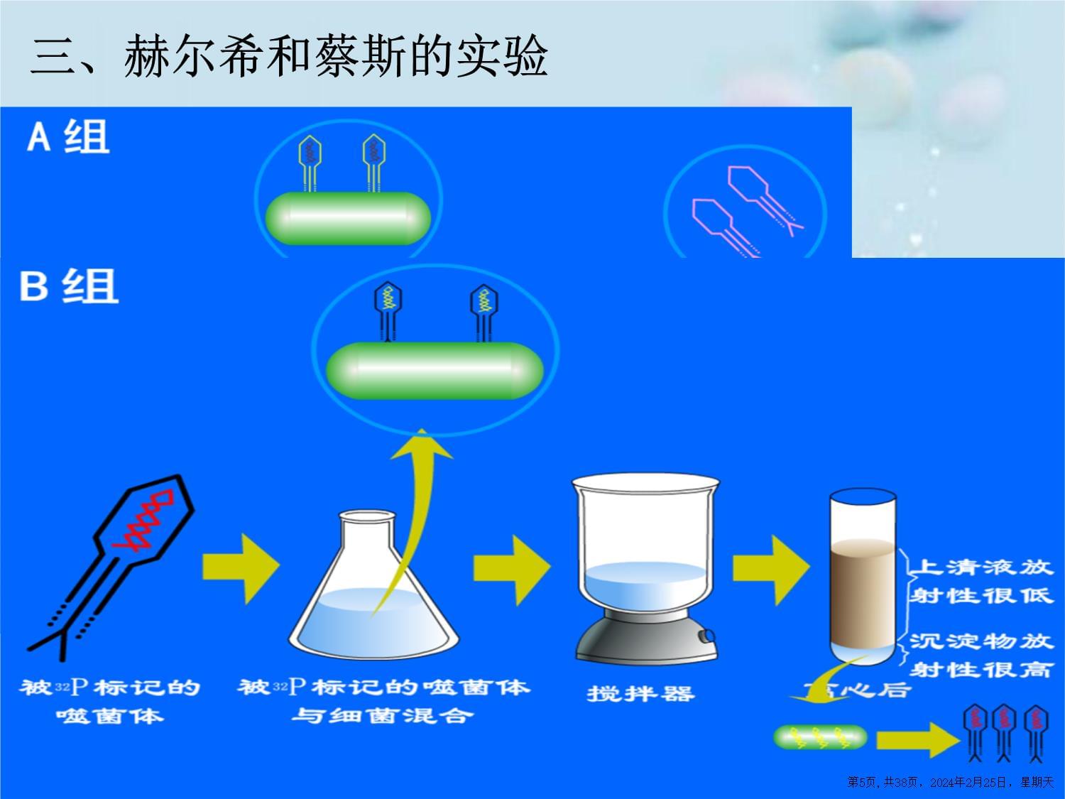 遗传变异与进化_第5页