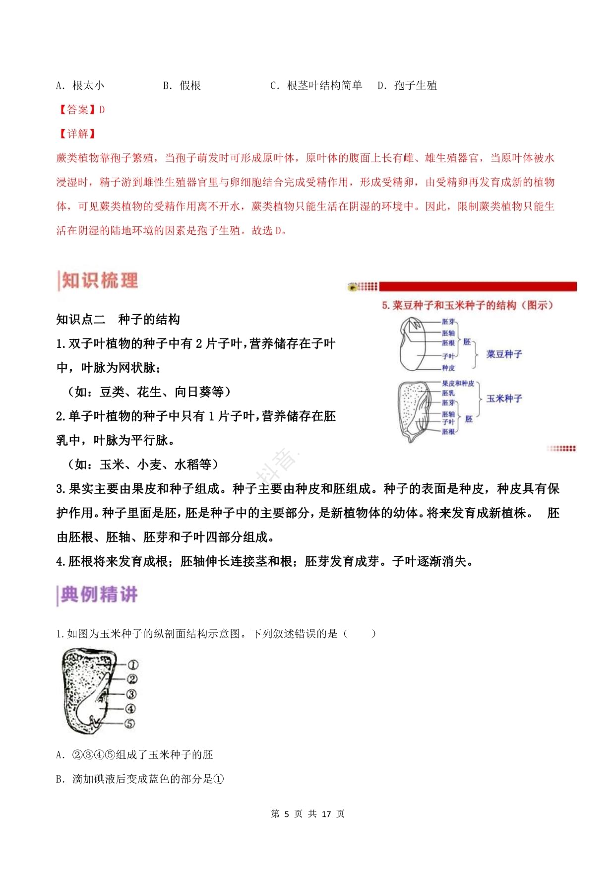 第06讲 生物圈中有哪些绿色植物-2022年中考生物一轮复习知识清单与跟踪训练（解析kok电子竞技）_第5页