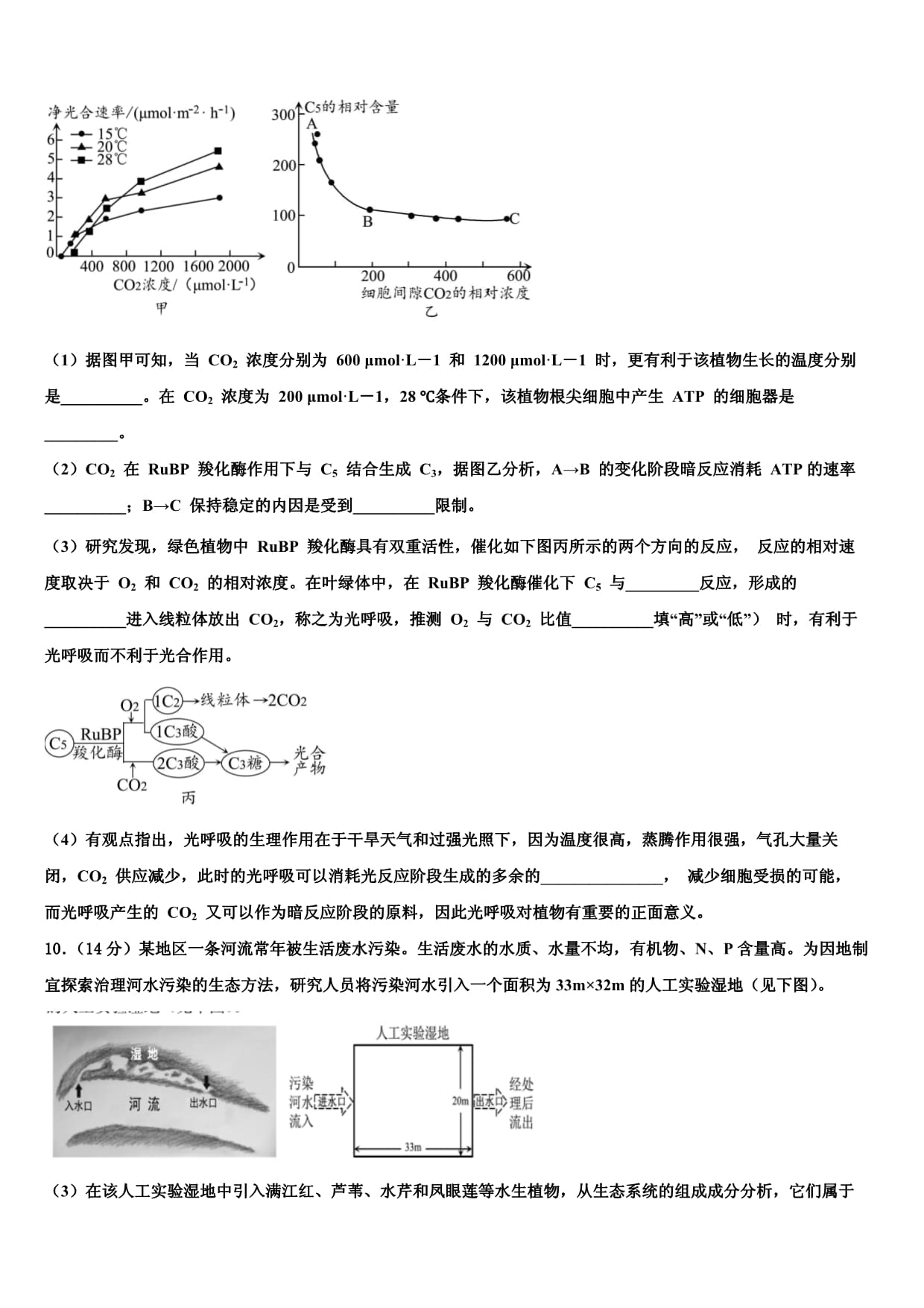 河南省南阳市六校2025届高三下学期联合考试生物试题含解析_第3页