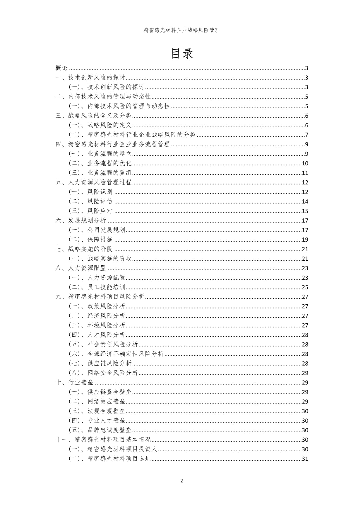 2023年精密感光材料企业战略风险管理_第2页