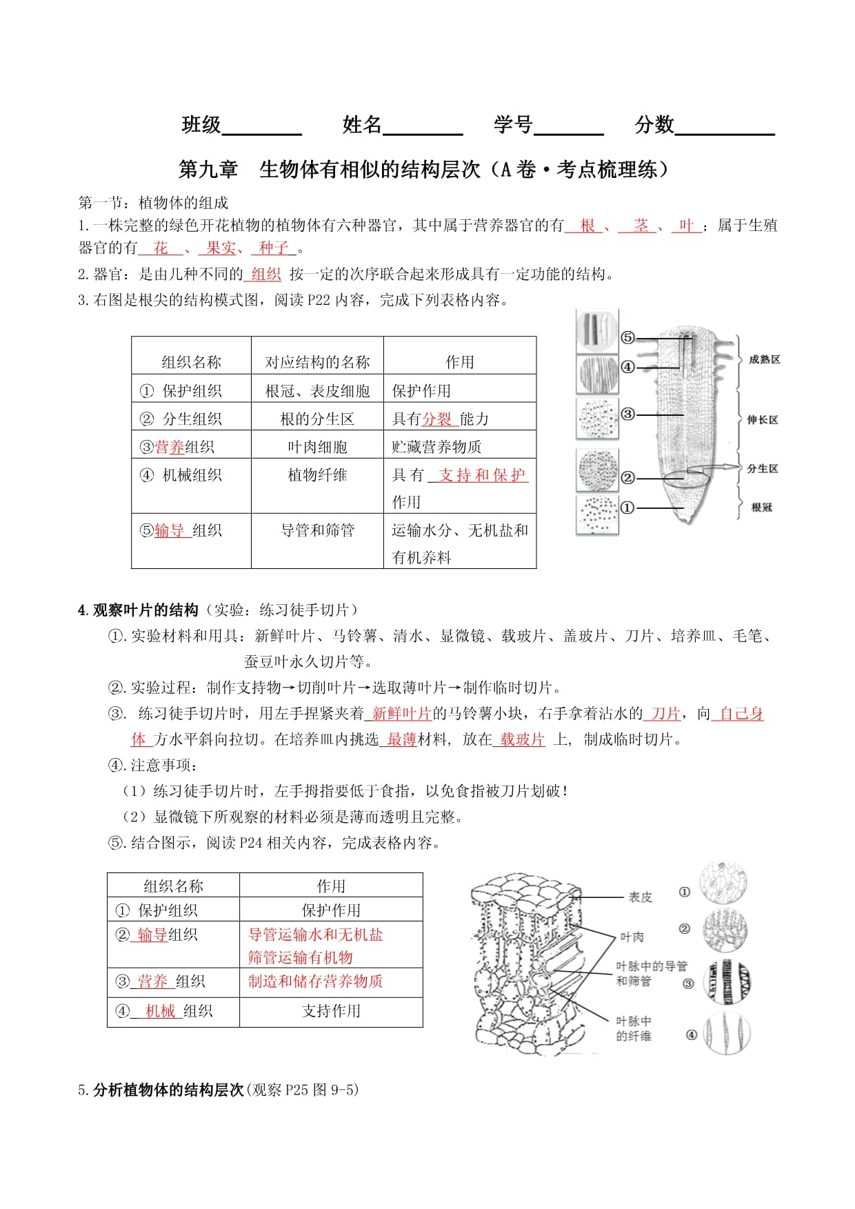 第九章 生物体有相似的结构层次（A卷•考点梳理练）（解析kok电子竞技）-【单元测试】2022-2023学年七kok电子竞技生物分层训练AB卷（苏科kok电子竞技七下）_第1页