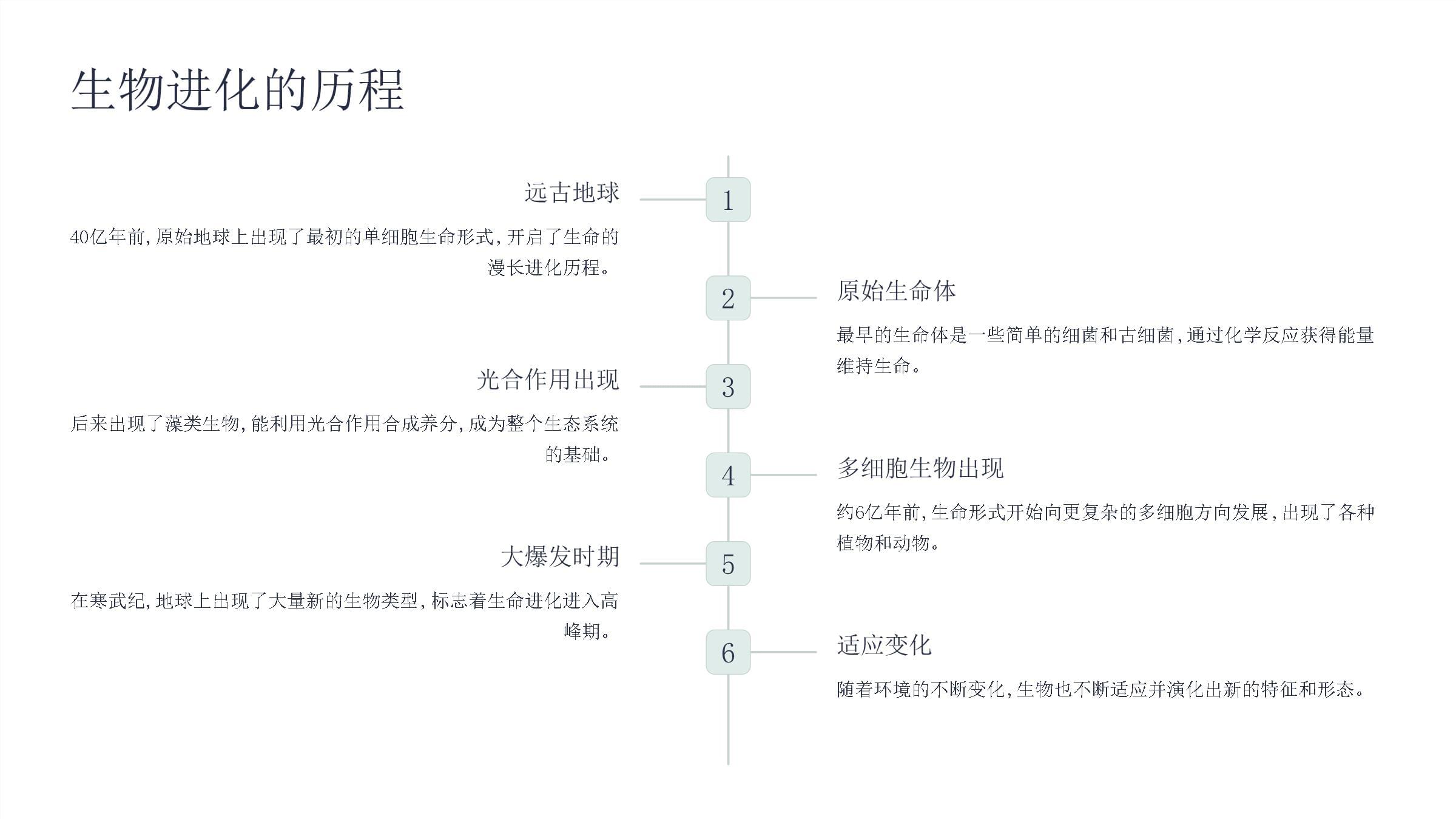 《生命因独特而绚丽》课件_第5页