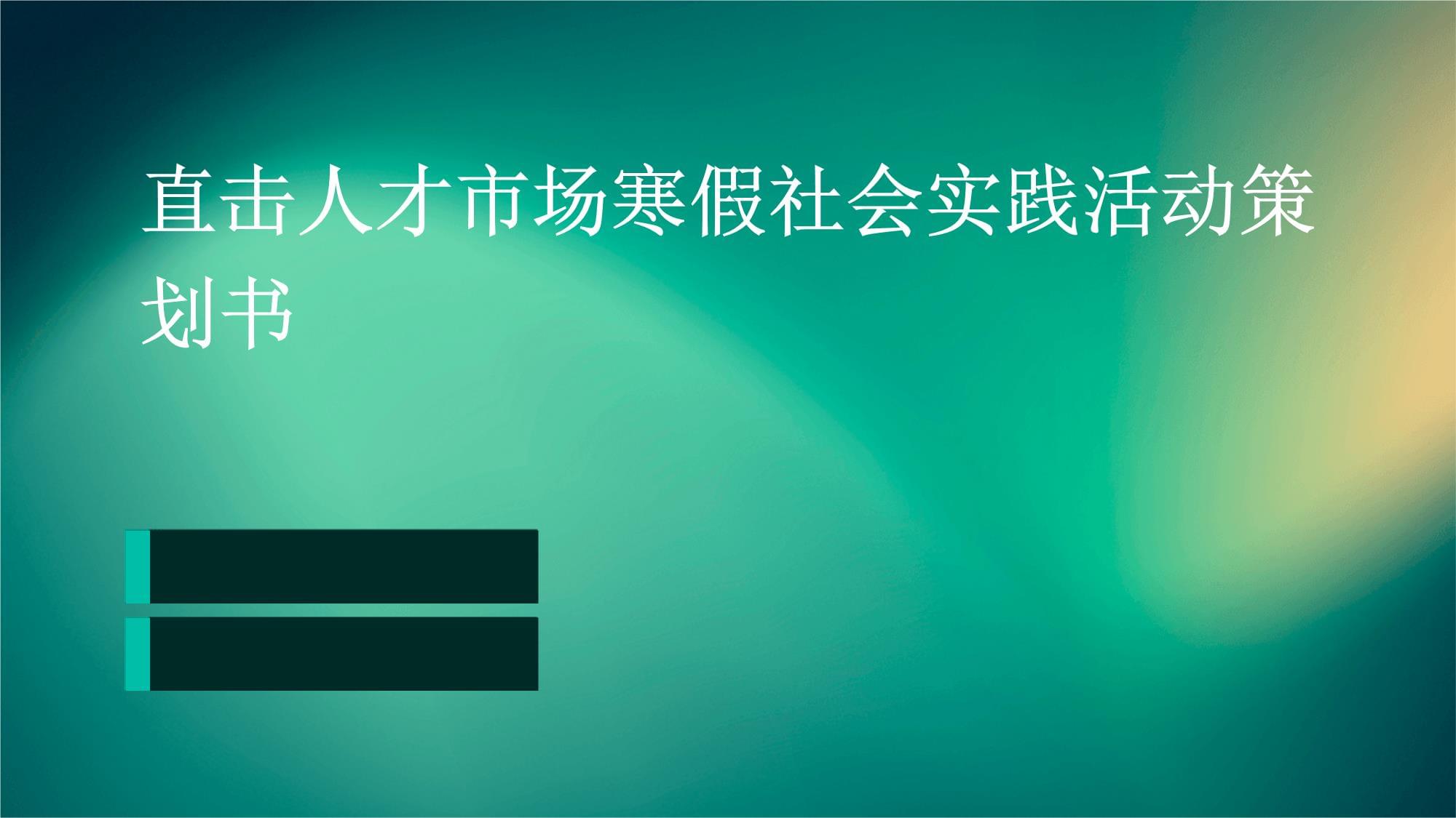 直擊人才市場寒假社會實踐活動策劃書_第1頁