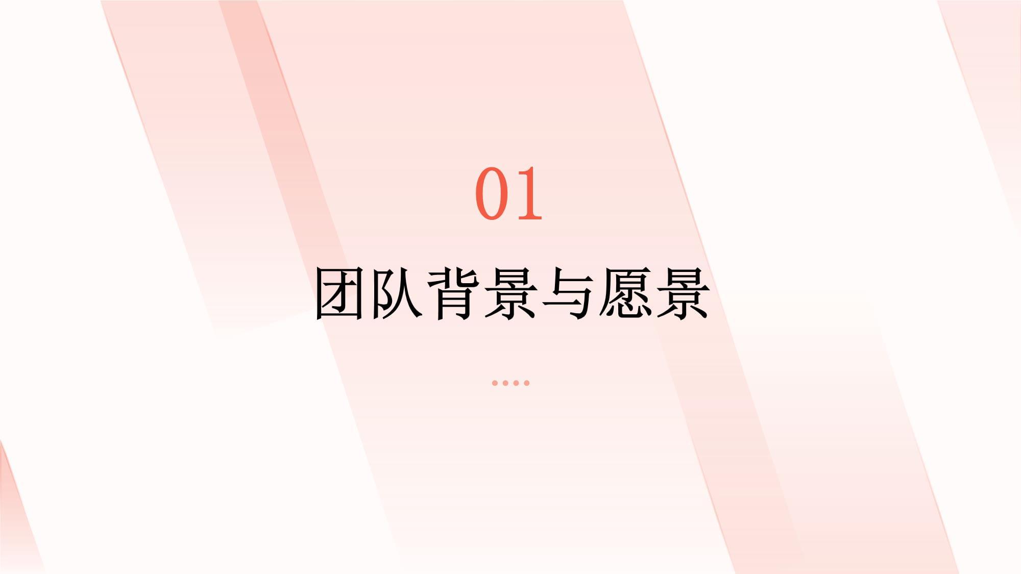 长垣民宿创业团队介绍_第3页