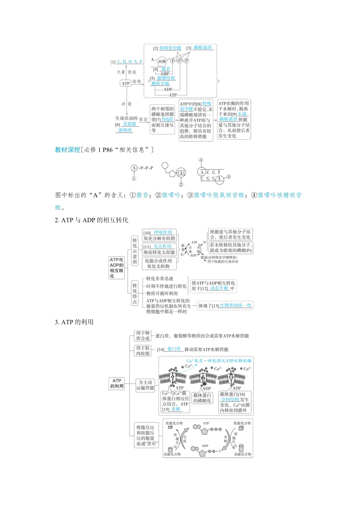 2025高考备考生物学知识点课时2　ATP的结构和功能_第2页