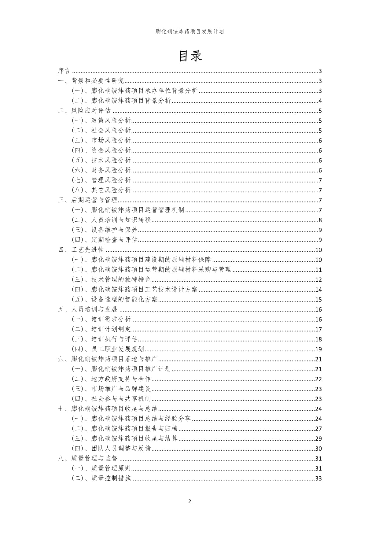 2024年膨化硝铵炸药项目发展计划_第2页