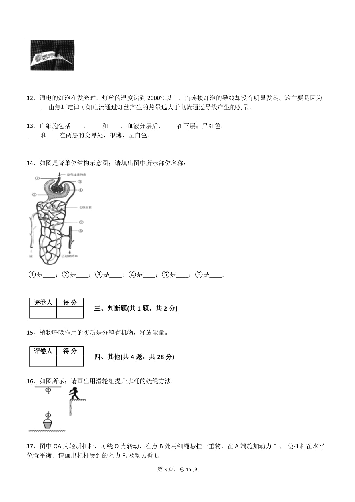 2024年粤教新kok电子竞技九kok电子竞技科学下册阶段测试试卷_第3页