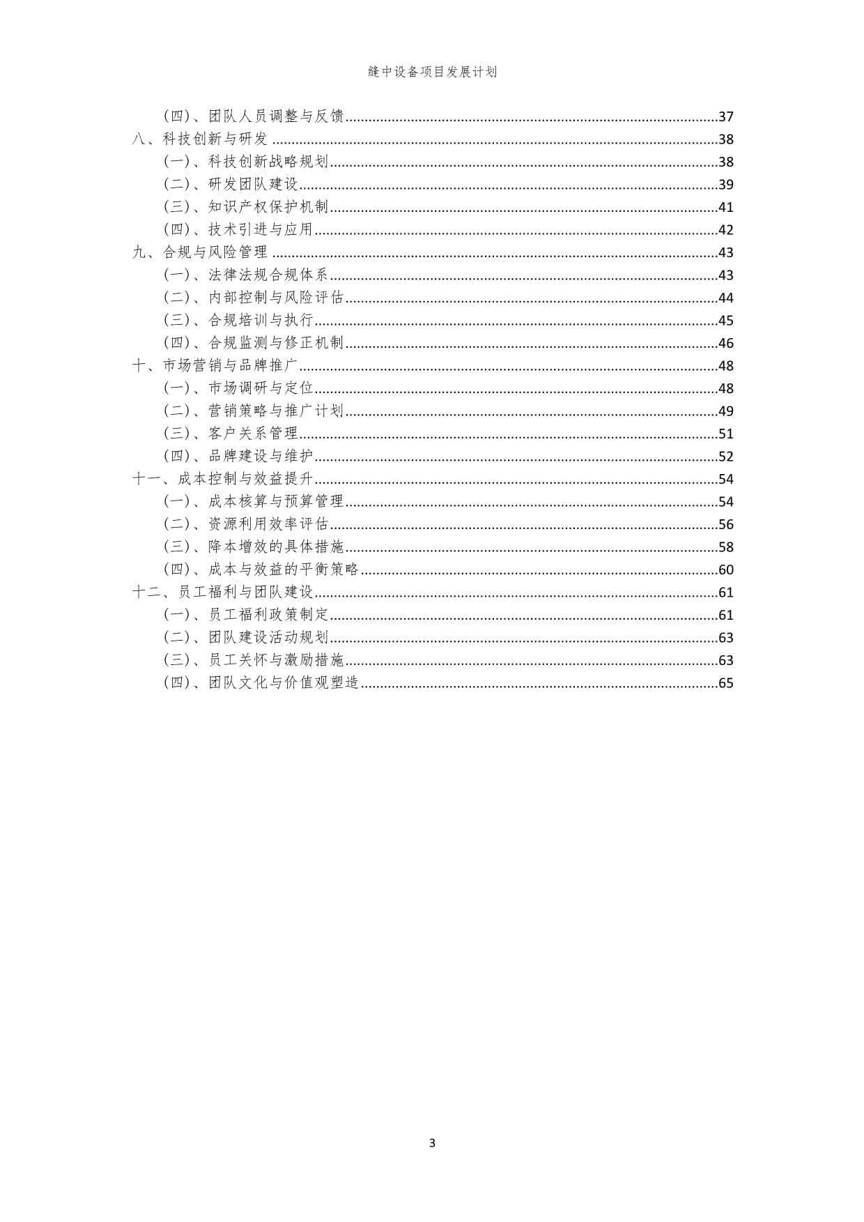 2024年缝中设备项目发展计划_第3页