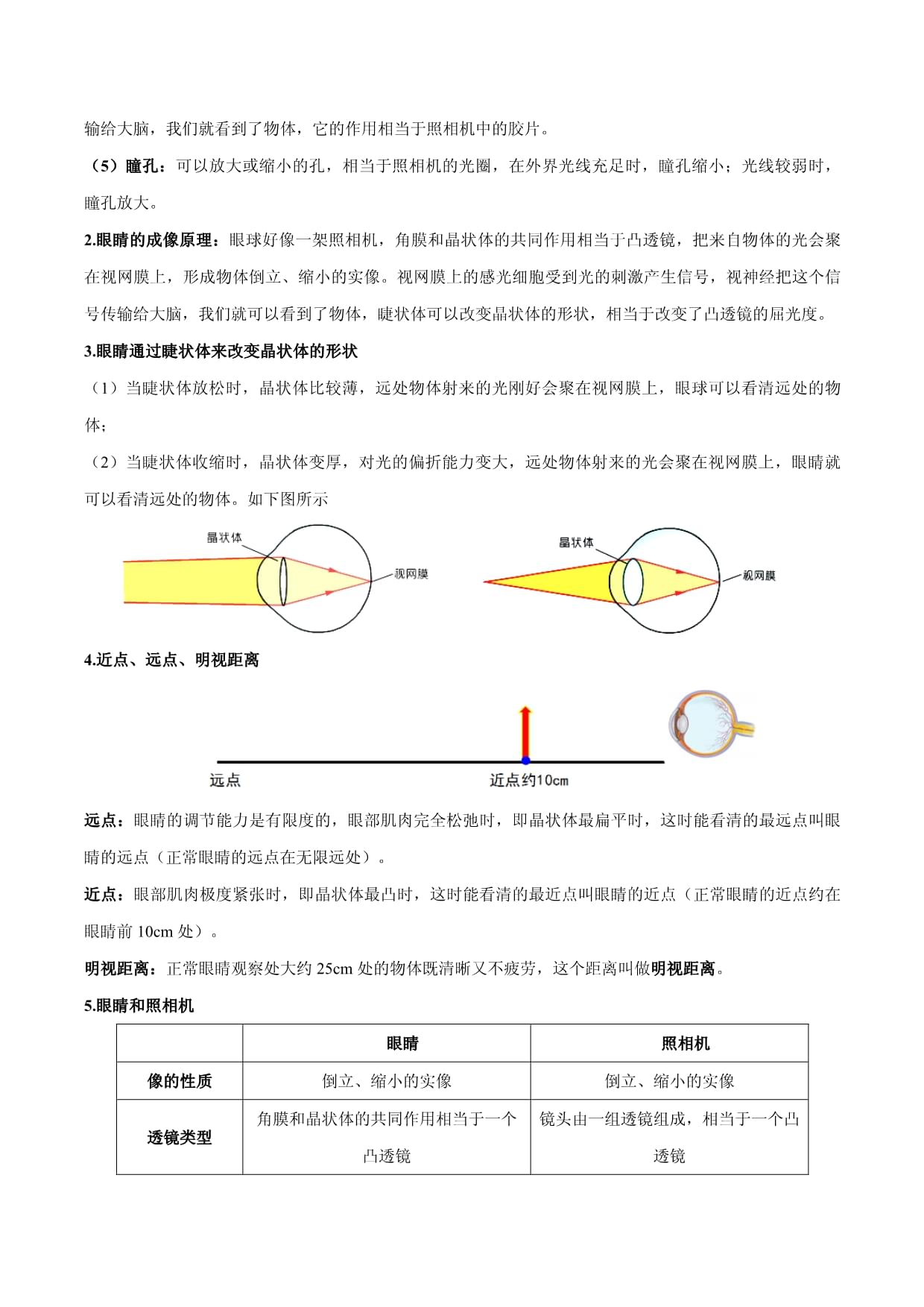第5.4课时眼睛和眼镜_第2页