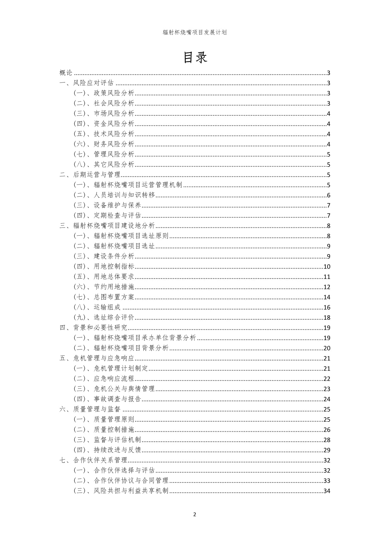 2024年辐射杯烧嘴项目发展计划_第2页