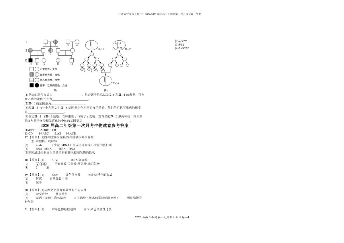 江西省宜春市上高二中2024-2025学年高二上学期第一次月考试题 生物 含答案_第4页