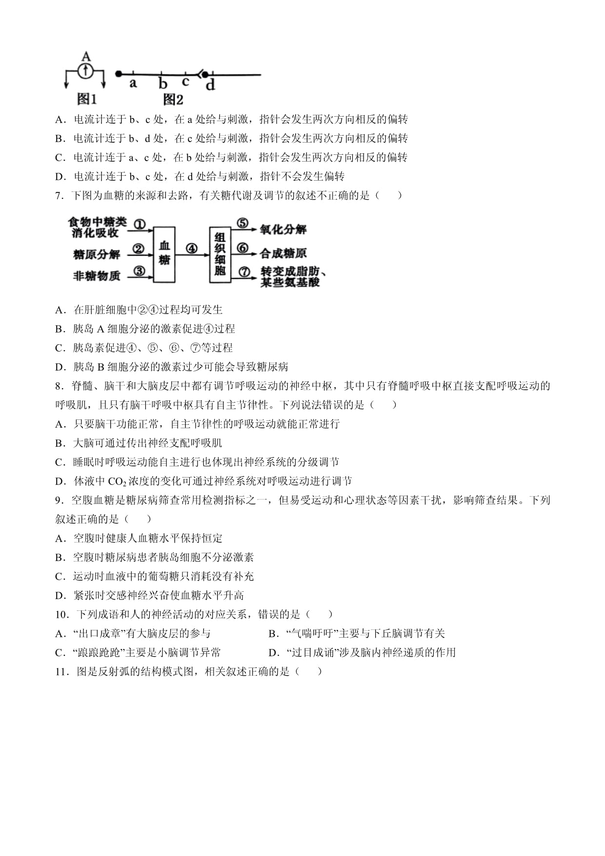 “逐梦计划”环际大联考2024-2025学年高二上学期期中考试生物试题_第2页