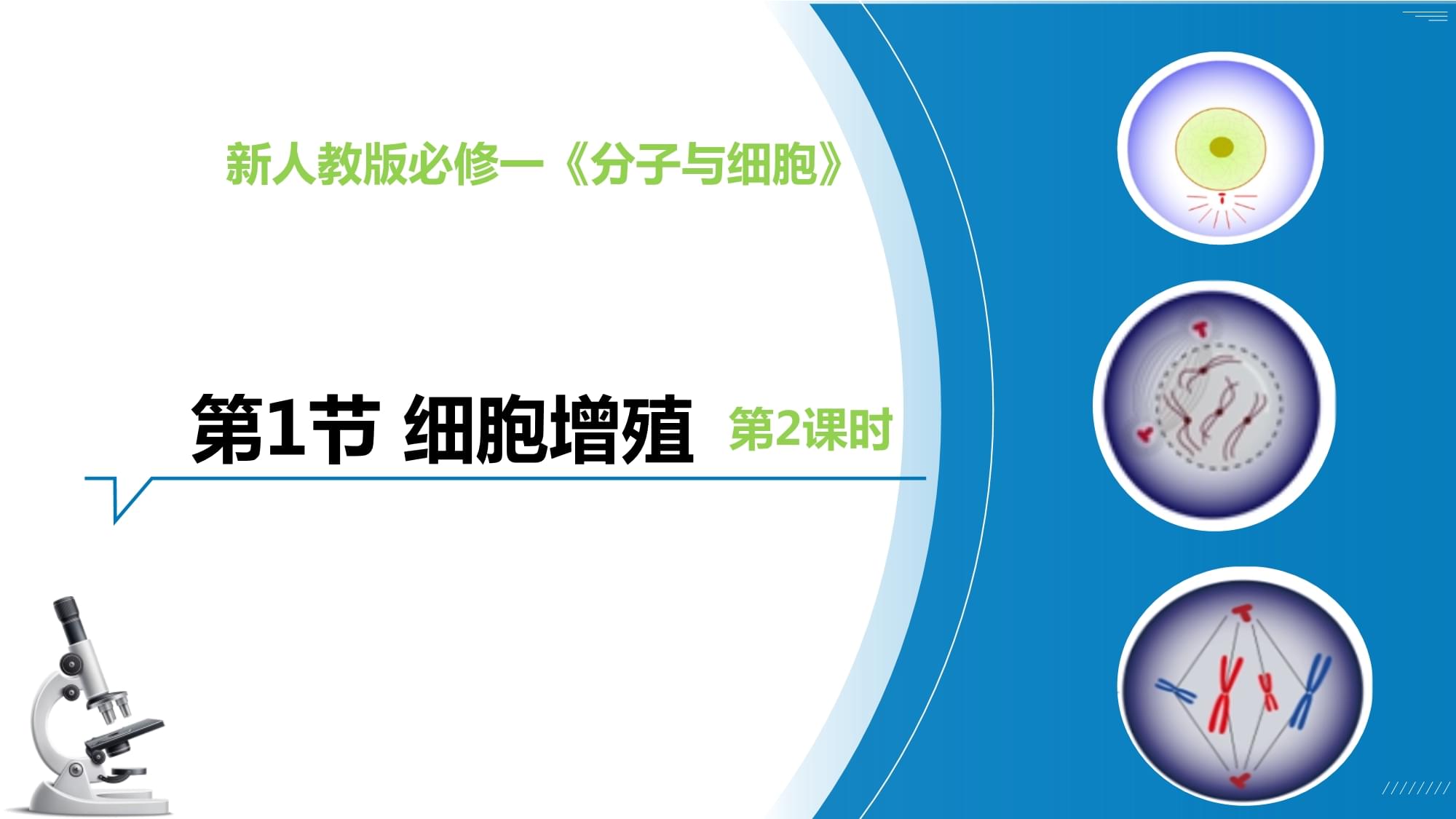 6.1 细胞的增殖（第2课时）2022-2023学年高一生物课件_第1页