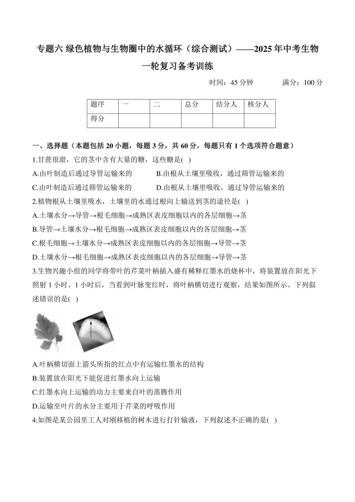 绿色植物与生物圈中的水循环（综合测试）-2025年中考生物一轮复习（含解析）_第1页