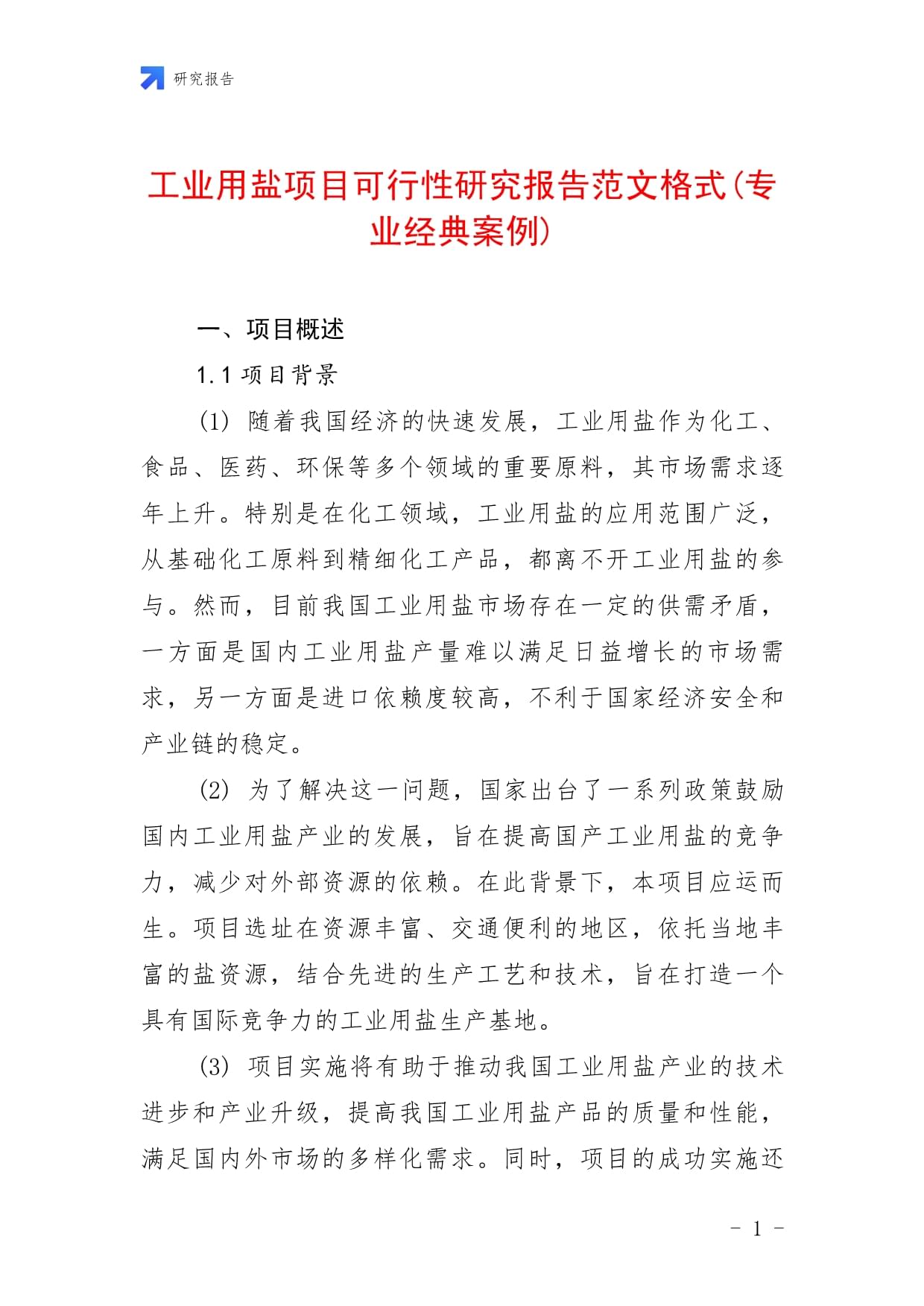 工业用盐项目可行性研究报告范文格式(专业经典案例)_第1页