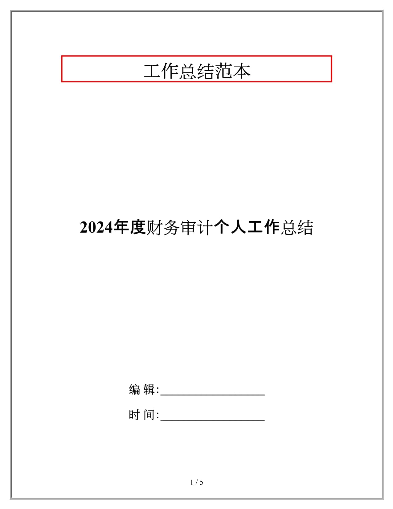 2024年度财务审计个人工作总结_第1页