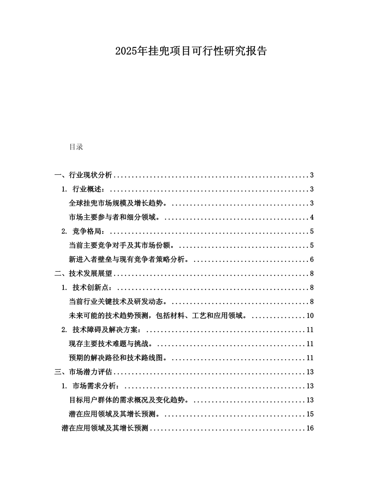 2025年挂兜项目可行性研究报告_第1页